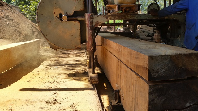 sawmilling-services